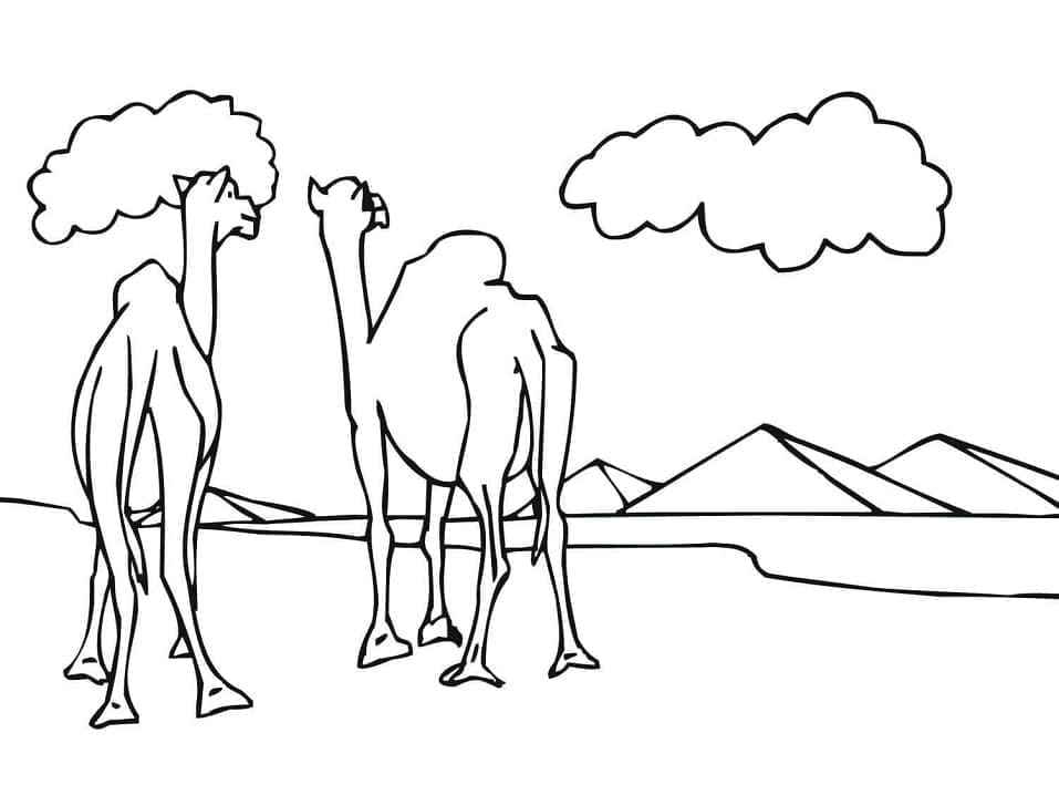 Desenho gratuito Camelo #205471 da colecao Animais para imprimir Desenho gratuito Camelo #205471 da colecao Animais para imprimir