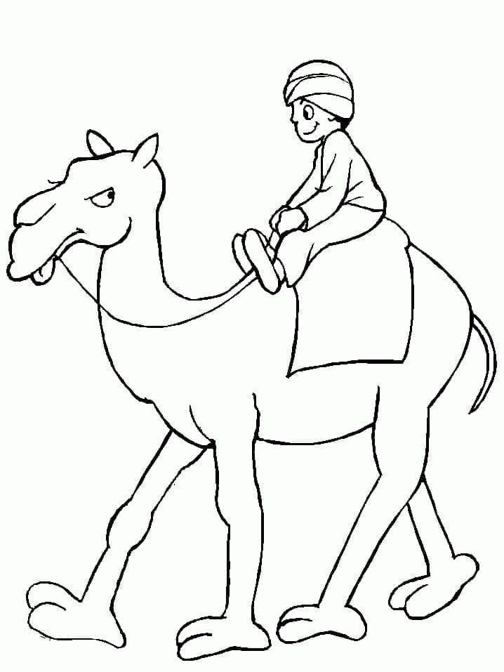 Desenho gratuito Camelo #205476 da colecao Animais para imprimir