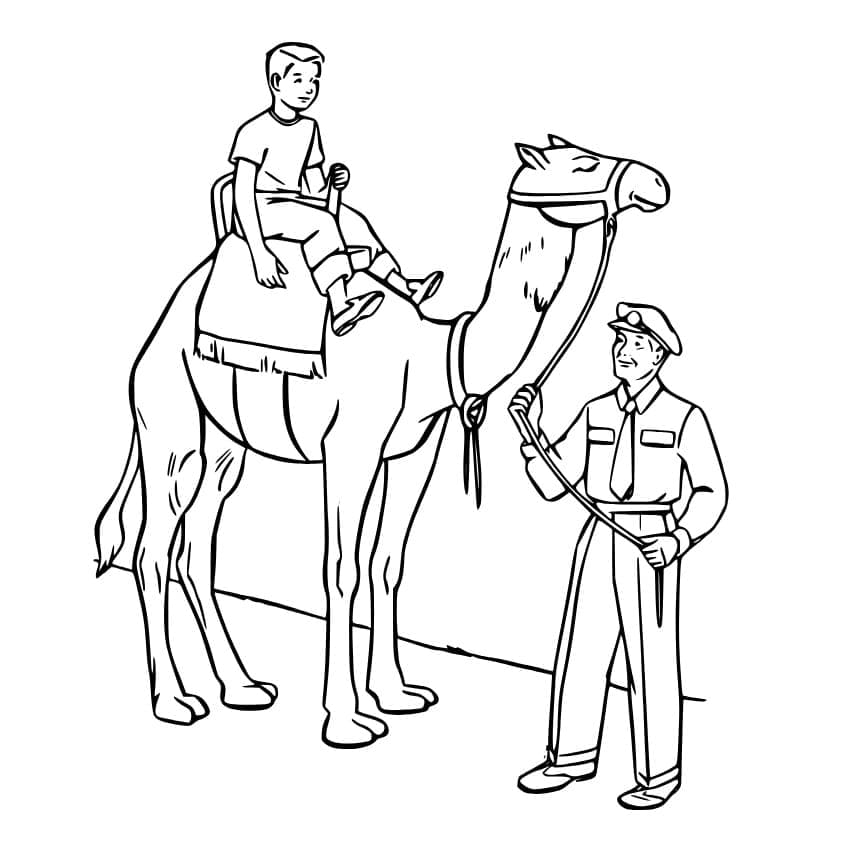 Atividade criativa: desenho de Camelo #205488 para colorir da coleção Animais Atividade criativa: desenho de Camelo #205488 para colorir da coleção Animais