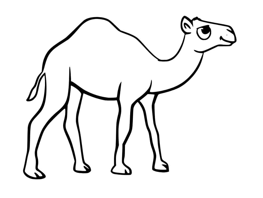 Desenho gratuito Camelo #205489 da colecao Animais para imprimir