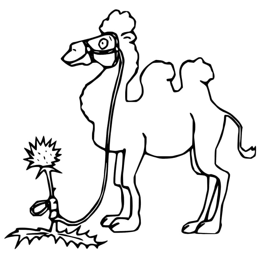 Desenho gratuito Camelo #205498 da colecao Animais para imprimir