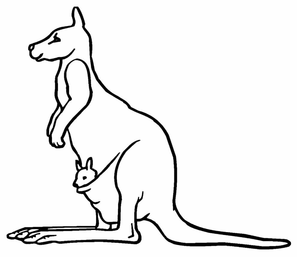 Desenho gratuito Canguru #179669 da colecao Animais para imprimir