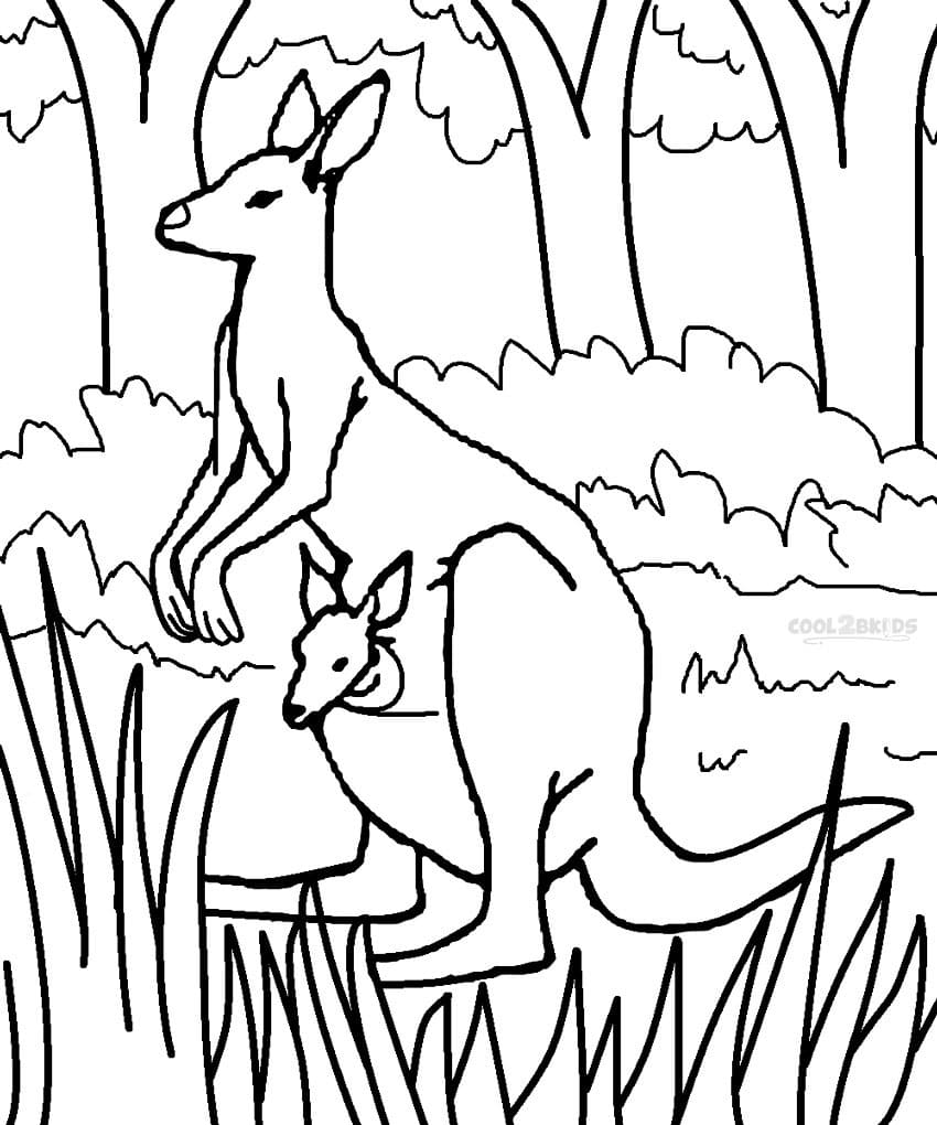Desenho gratuito Canguru #179672 da colecao Animais para imprimir