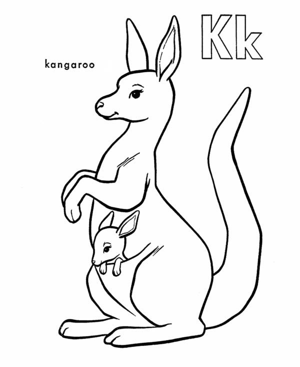 Página para colorir: Canguru (animais) #9122 - Páginas para Colorir Imprimíveis Gratuitamente