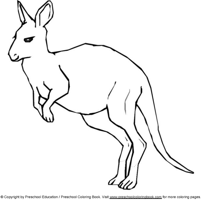 Página para colorir: Canguru (animais) #9193 - Páginas para Colorir Imprimíveis Gratuitamente