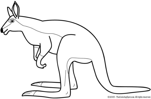 Página para colorir: Canguru (animais) #9232 - Páginas para Colorir Imprimíveis Gratuitamente