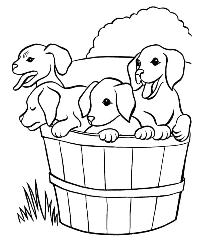 Atividade criativa: desenho de Cão #182820 para colorir da coleção Animais