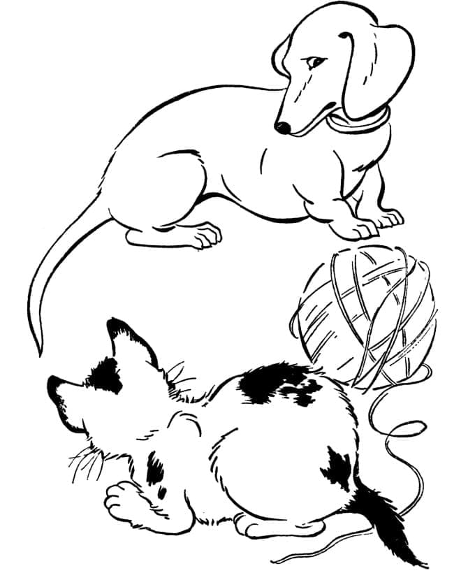 Desenho gratuito Cão e Gato #211076 da colecao Animais para imprimir