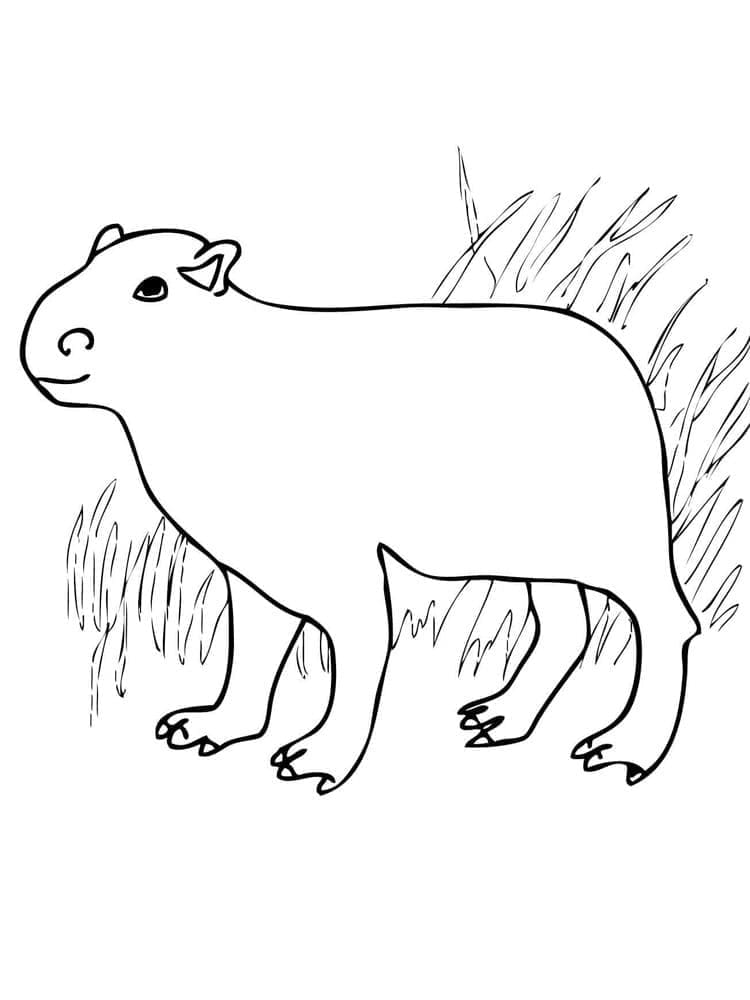 Desenho gratuito Capivara #207582 da colecao Animais para imprimir