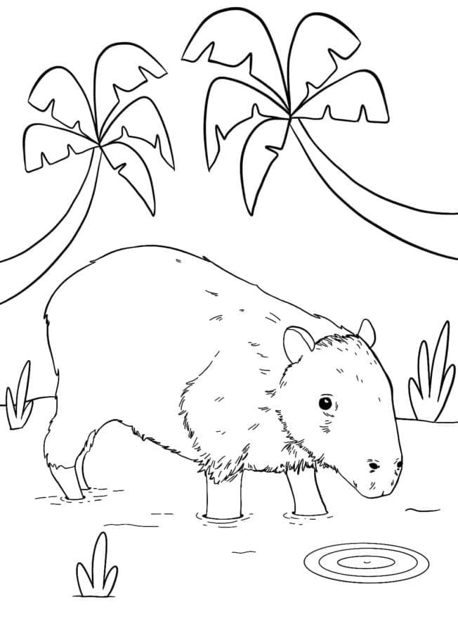 Desenho gratuito Capivara #207586 da colecao Animais para imprimir Desenho gratuito Capivara #207586 da colecao Animais para imprimir