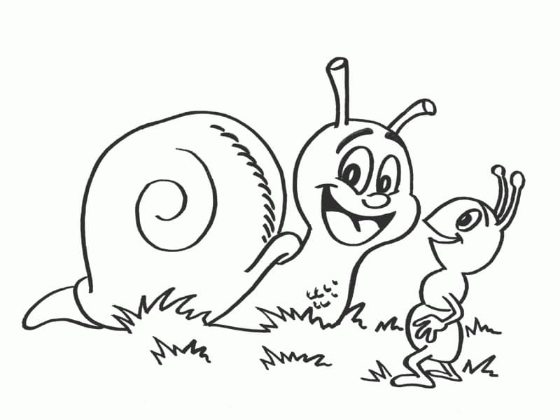 Desenho gratuito Caracol #177410 da colecao Animais para imprimir