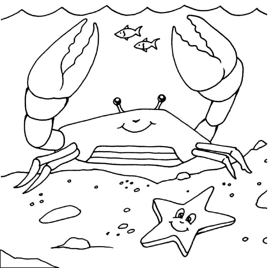 Desenho gratuito Caranguejo #199408 da colecao Animais para imprimir