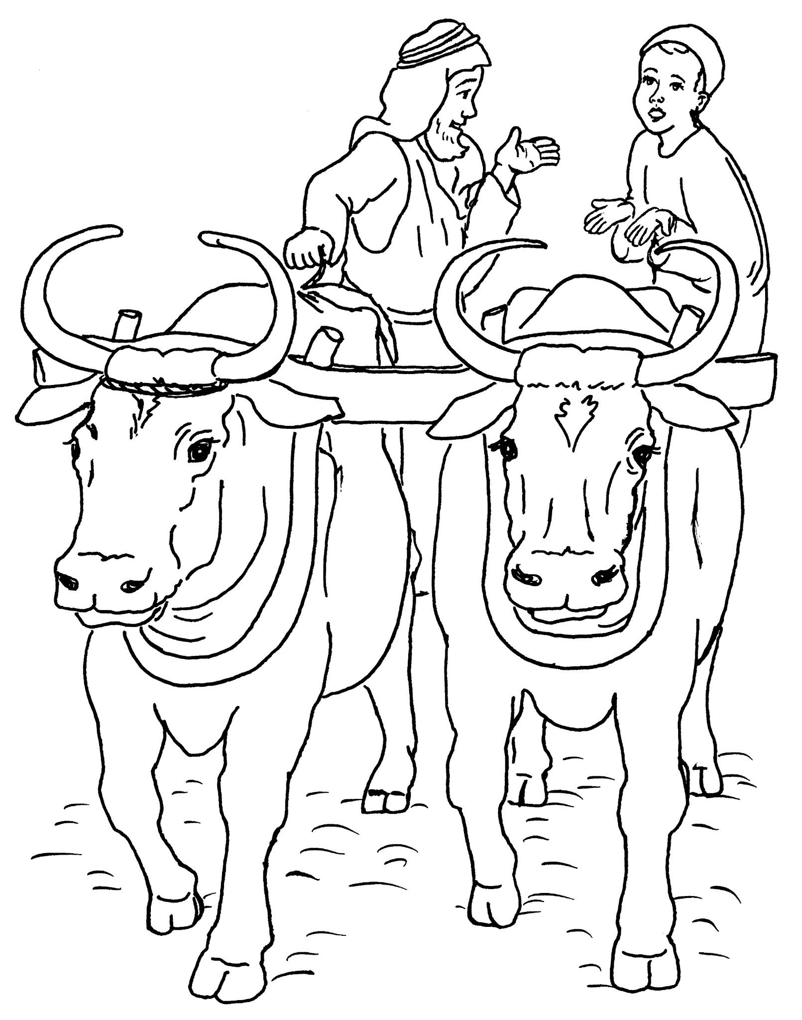 Página para colorir: Carne bovina (animais) #1356 - Páginas para Colorir Imprimíveis Gratuitamente