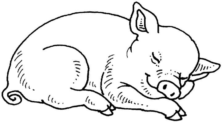 Página para colorir: Carne de porco (animais) #17679 - Páginas para Colorir Imprimíveis Gratuitamente
