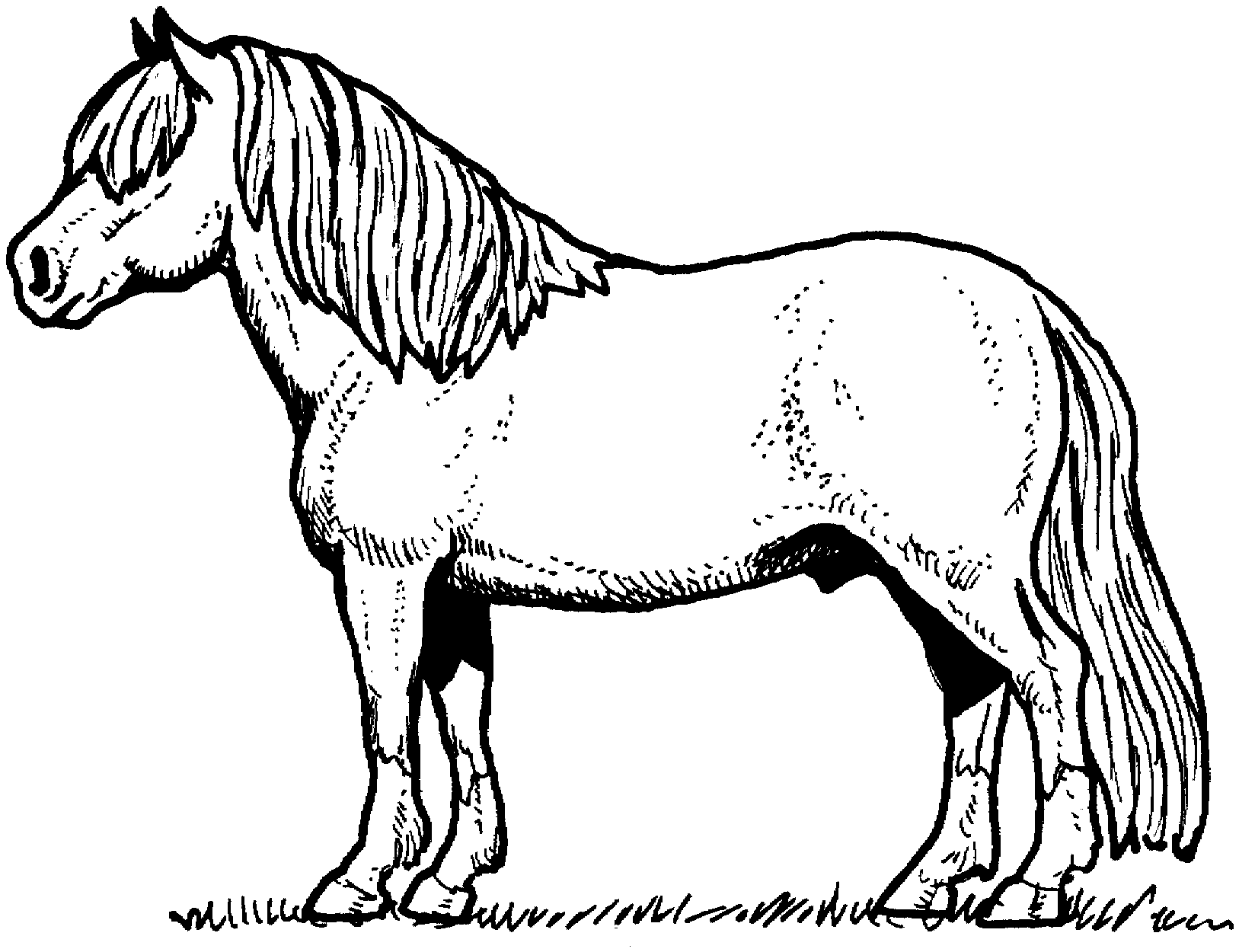 Página para colorir: Cavalo (animais) #2162 - Páginas para Colorir Imprimíveis Gratuitamente