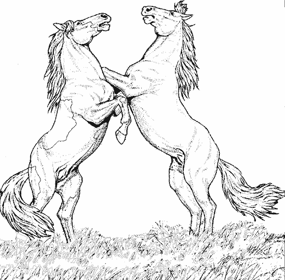 Página para colorir: Cavalo (animais) #2170 - Páginas para Colorir Imprimíveis Gratuitamente