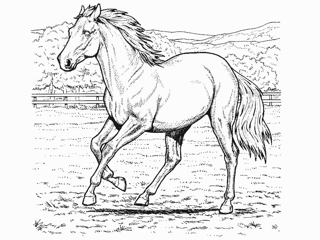Página para colorir: Cavalo (animais) #2174 - Páginas para Colorir Imprimíveis Gratuitamente