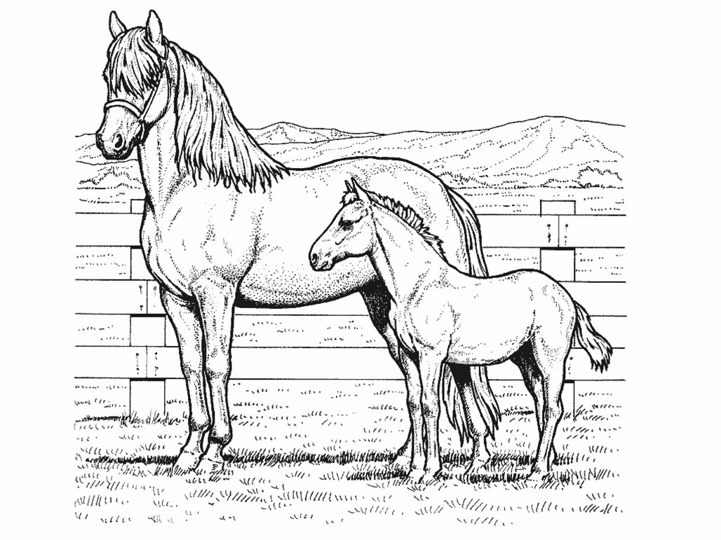 Página para colorir: Cavalo (animais) #2185 - Páginas para Colorir Imprimíveis Gratuitamente