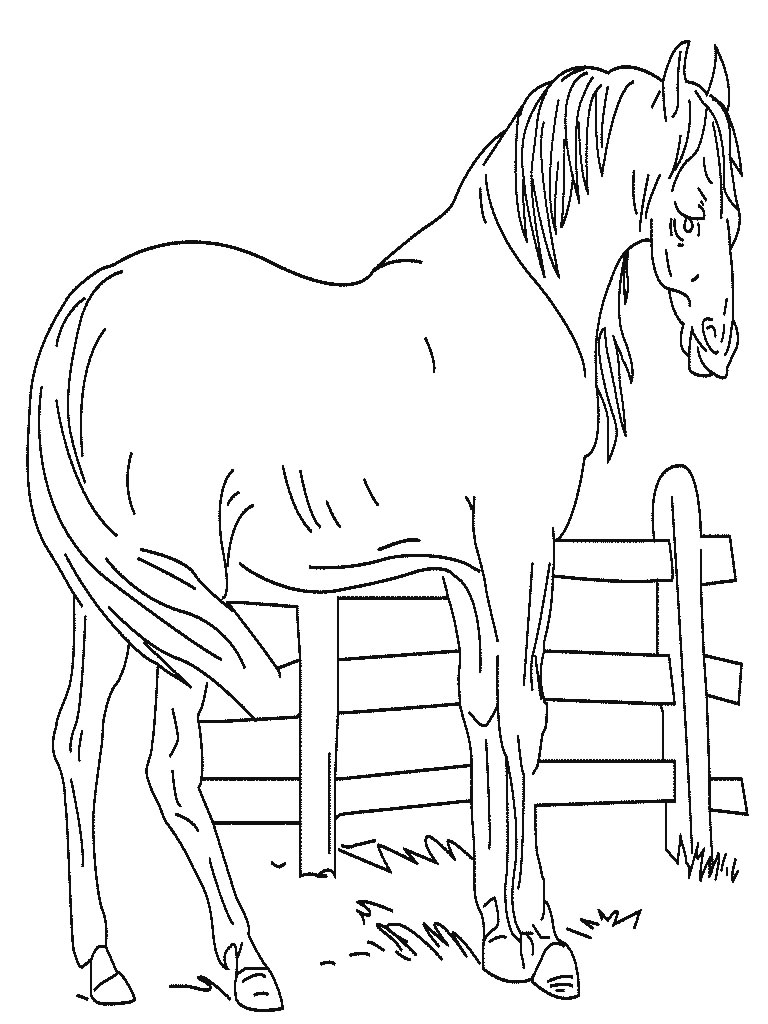 Página para colorir: Cavalo (animais) #2207 - Páginas para Colorir Imprimíveis Gratuitamente