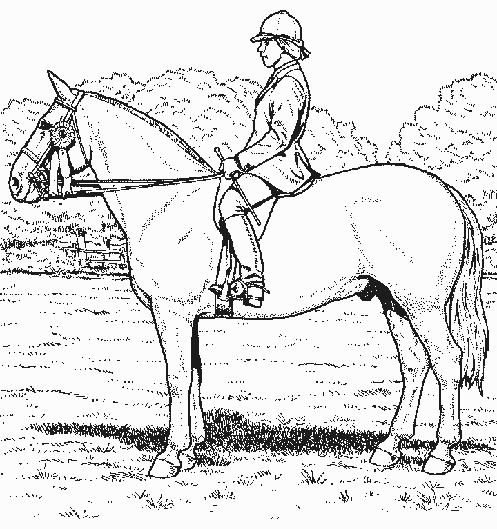 Página para colorir: Cavalo (animais) #2211 - Páginas para Colorir Imprimíveis Gratuitamente