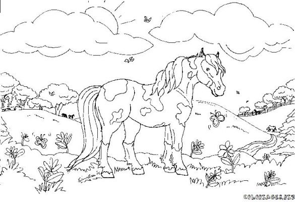 Página para colorir: Cavalo (animais) #2223 - Páginas para Colorir Imprimíveis Gratuitamente