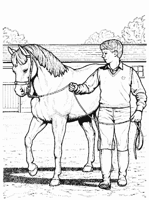 Página para colorir: Cavalo (animais) #2264 - Páginas para Colorir Imprimíveis Gratuitamente