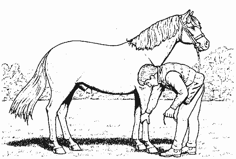 Página para colorir: Cavalo (animais) #2287 - Páginas para Colorir Imprimíveis Gratuitamente