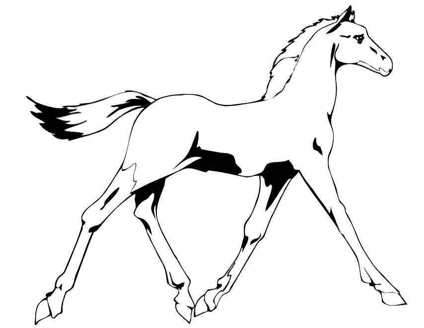 Página para colorir: Cavalo (animais) #2297 - Páginas para Colorir Imprimíveis Gratuitamente