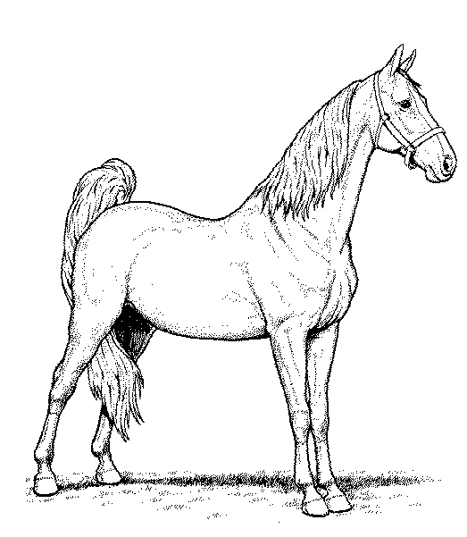 Página para colorir: Cavalo (animais) #2355 - Páginas para Colorir Imprimíveis Gratuitamente