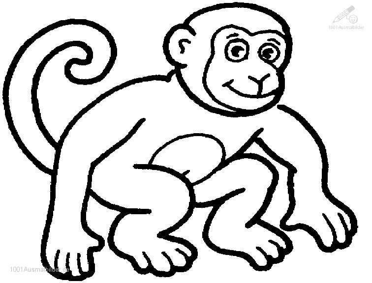 Página para colorir: Chimpanzé (animais) #2788 - Páginas para Colorir Imprimíveis Gratuitamente