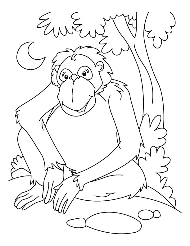 Página para colorir: Chimpanzé (animais) #2827 - Páginas para Colorir Imprimíveis Gratuitamente