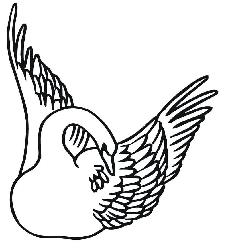 Desenho gratuito Cisne #185198 da colecao Animais para imprimir
