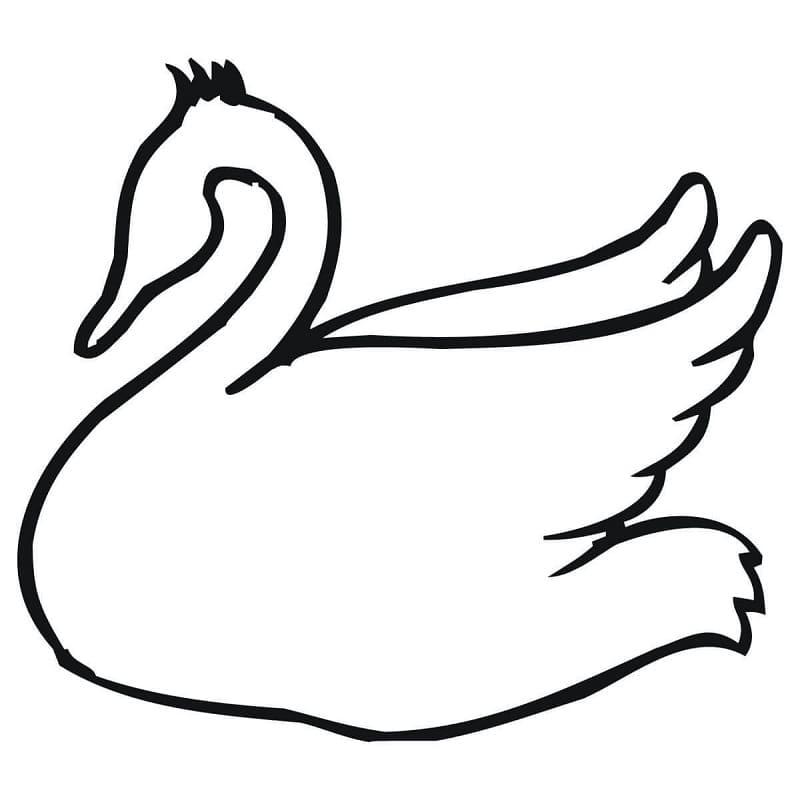 Desenho gratuito Cisne #185202 da colecao Animais para imprimir