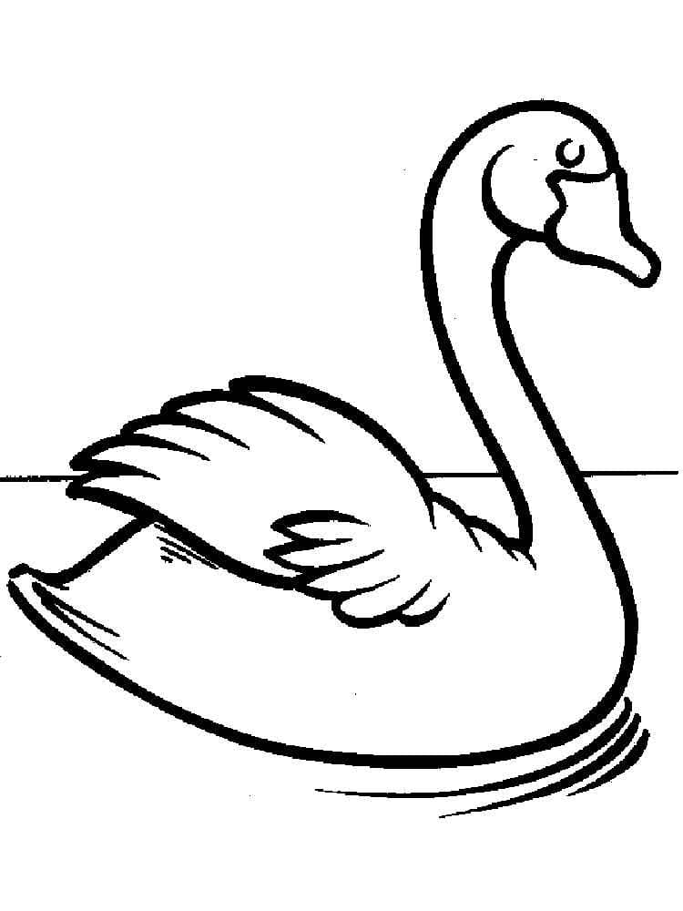 Desenho gratuito Cisne #185203 da colecao Animais para imprimir