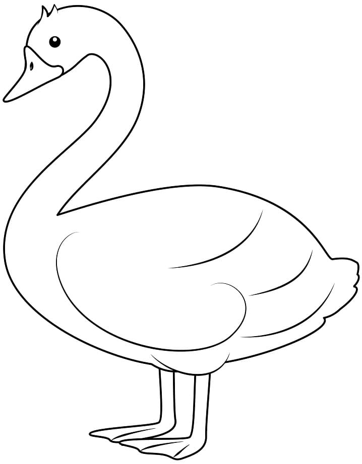 Desenho gratuito Cisne #185204 da colecao Animais para imprimir