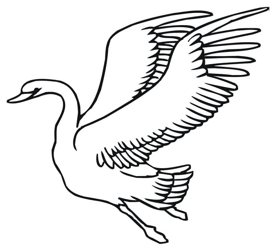 Desenho gratuito Cisne #185211 da colecao Animais para imprimir