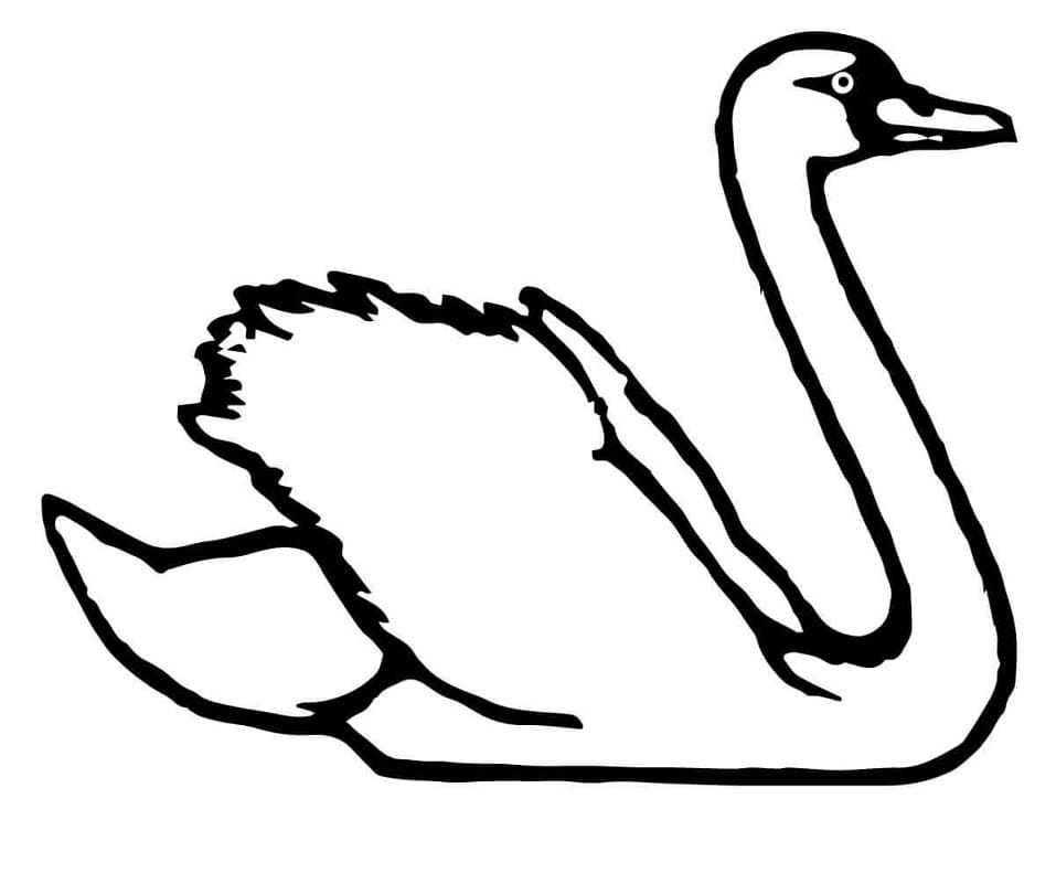 Desenho gratuito Cisne #185216 da colecao Animais para imprimir