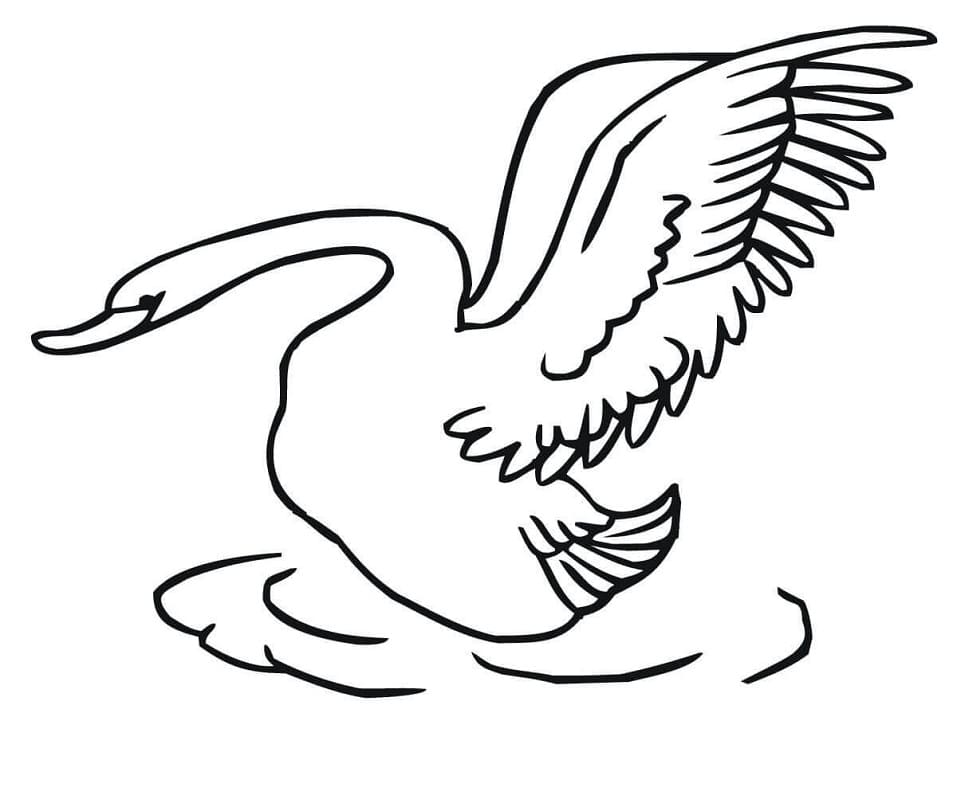 Desenho gratuito Cisne #185219 da colecao Animais para imprimir