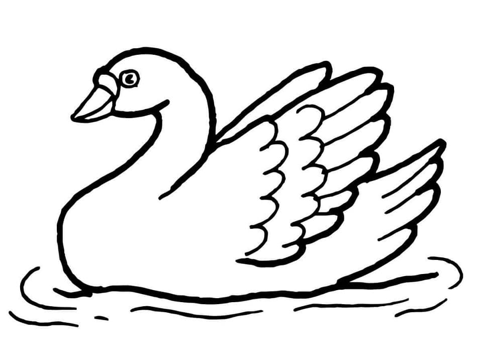 Desenho gratuito Cisne #185221 da colecao Animais para imprimir