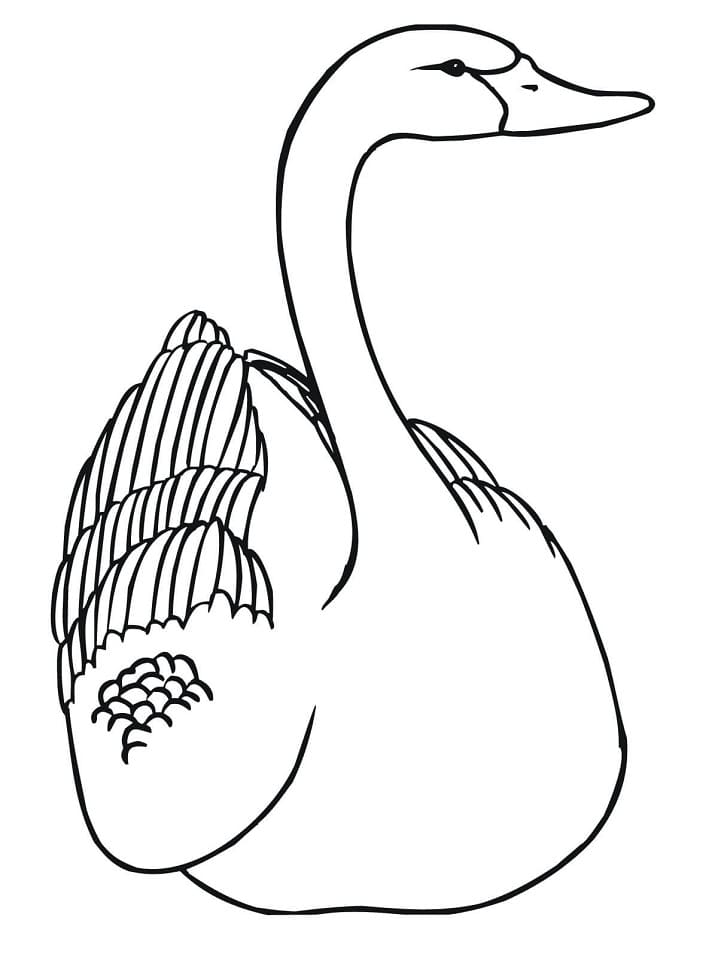 Desenho gratuito Cisne #185222 da colecao Animais para imprimir