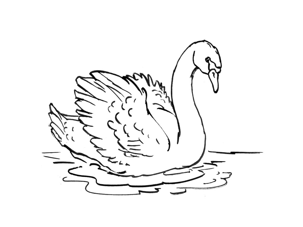 Página para colorir: Cisne (animais) #4992 - Páginas para Colorir Imprimíveis Gratuitamente
