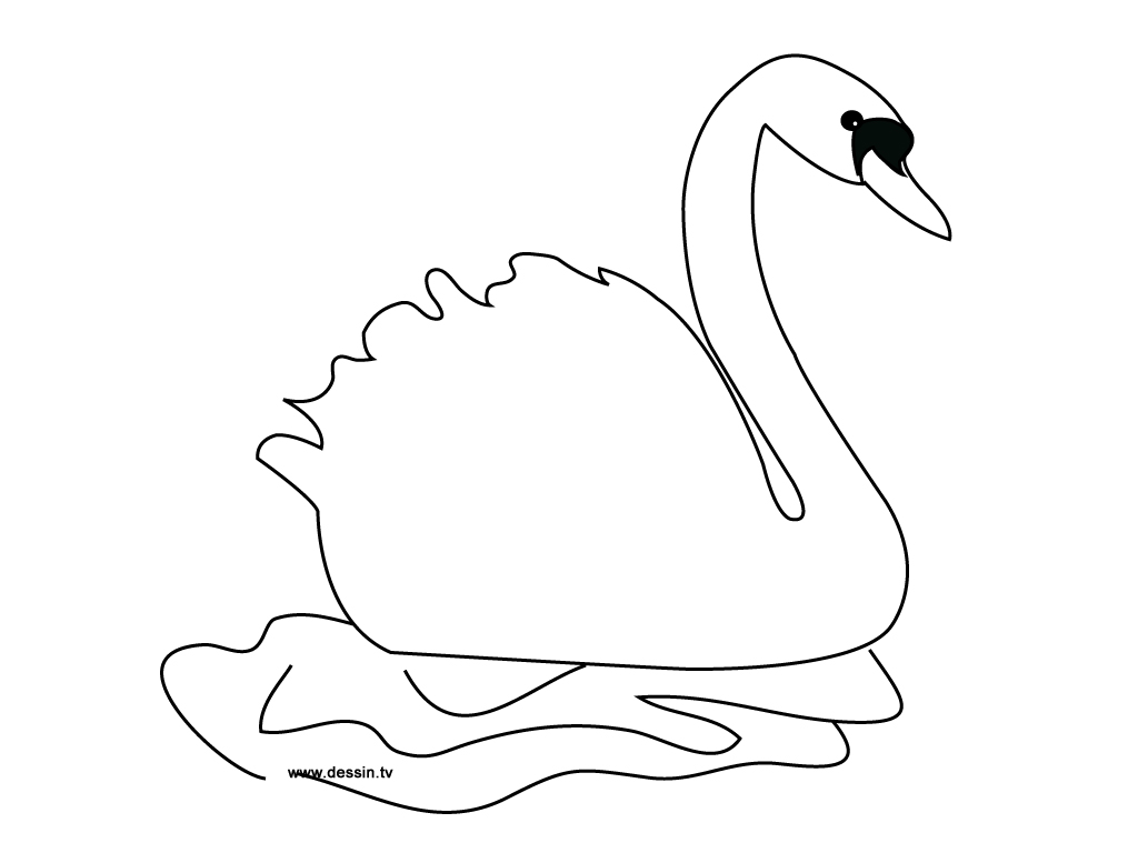 Página para colorir: Cisne (animais) #4996 - Páginas para Colorir Imprimíveis Gratuitamente