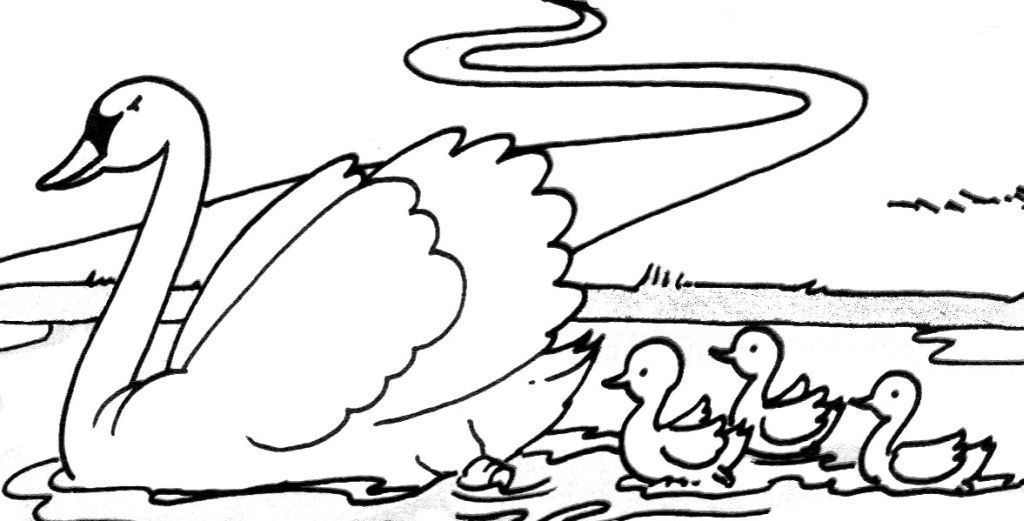 Página para colorir: Cisne (animais) #5008 - Páginas para Colorir Imprimíveis Gratuitamente