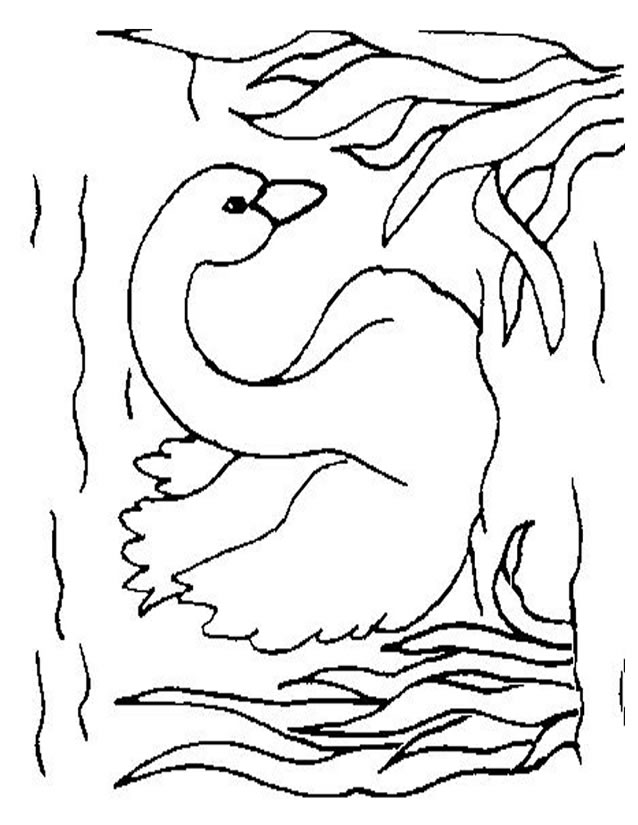 Página para colorir: Cisne (animais) #5009 - Páginas para Colorir Imprimíveis Gratuitamente