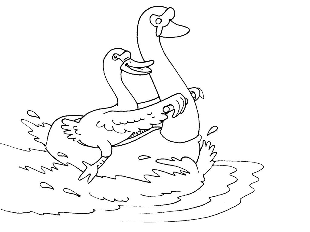 Página para colorir: Cisne (animais) #5023 - Páginas para Colorir Imprimíveis Gratuitamente
