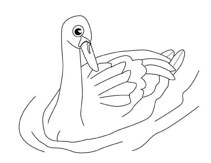 Página para colorir: Cisne (animais) #5029 - Páginas para Colorir Imprimíveis Gratuitamente