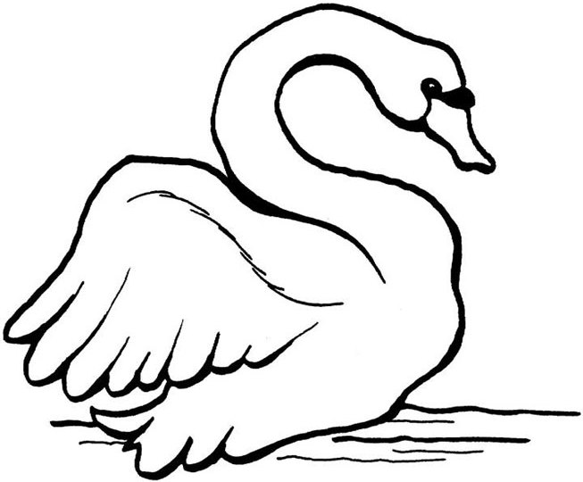 Página para colorir: Cisne (animais) #5033 - Páginas para Colorir Imprimíveis Gratuitamente