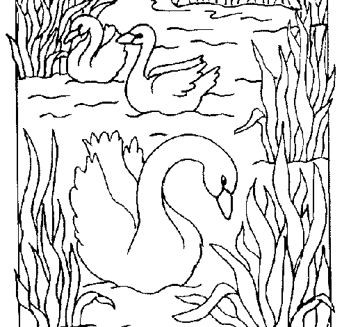 Página para colorir: Cisne (animais) #5037 - Páginas para Colorir Imprimíveis Gratuitamente