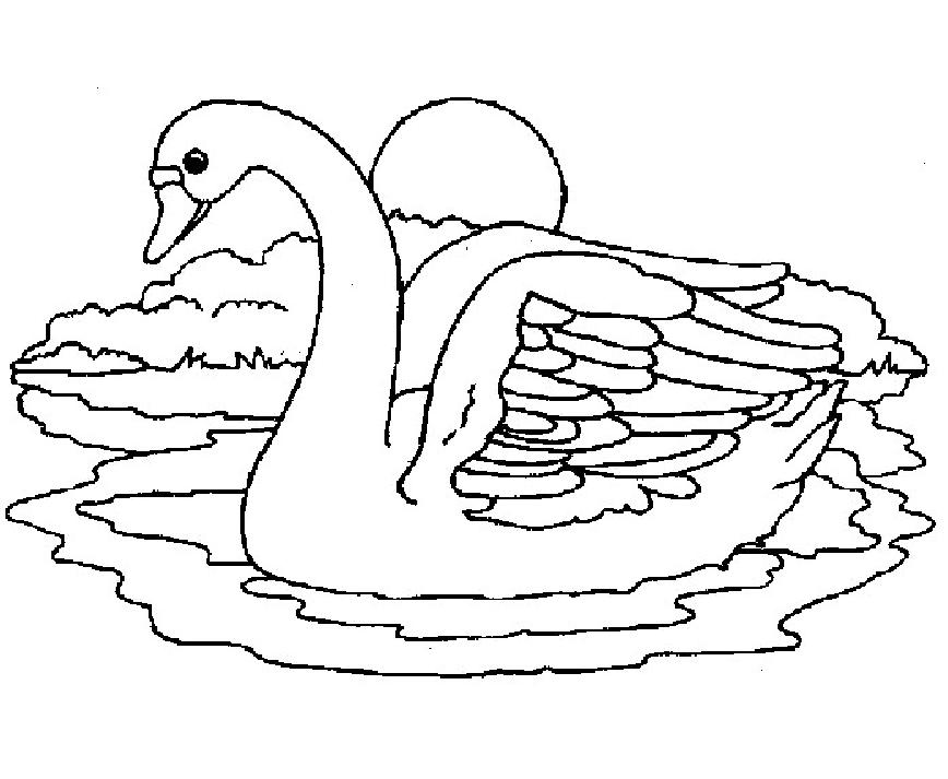 Página para colorir: Cisne (animais) #5055 - Páginas para Colorir Imprimíveis Gratuitamente
