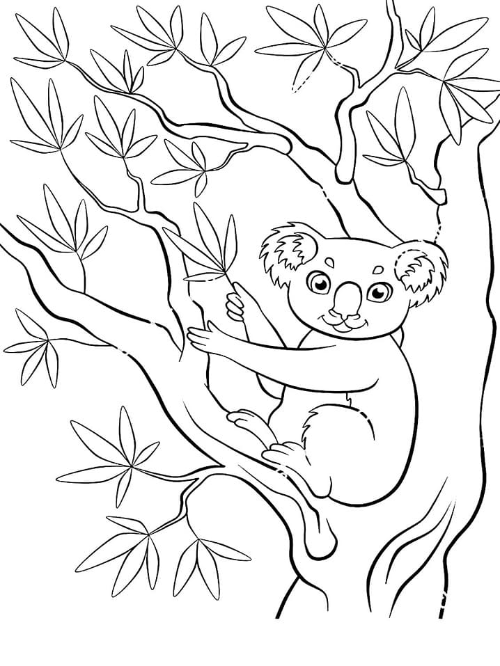 Desenho gratuito Coala #178768 da colecao Animais para imprimir